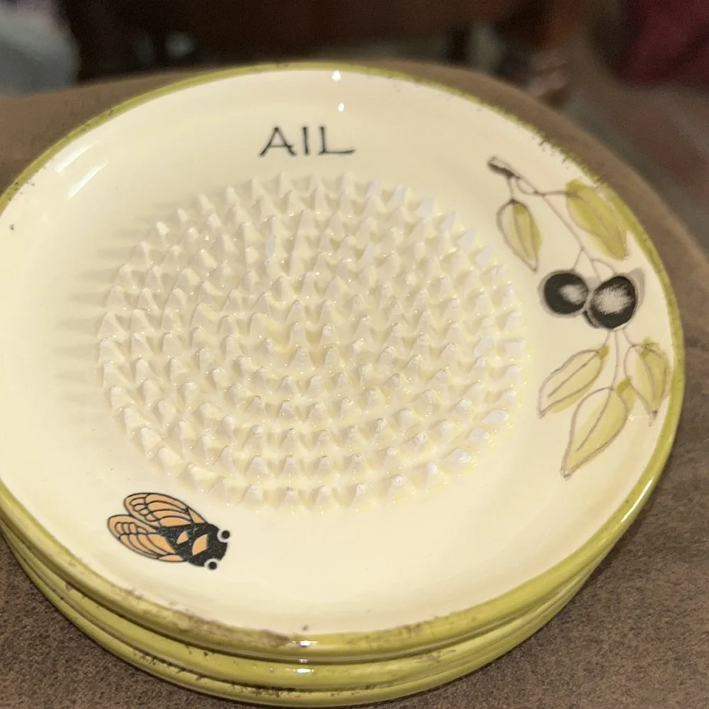 NWT Ceramic Hand Made Garlic Grater, Zester Plate